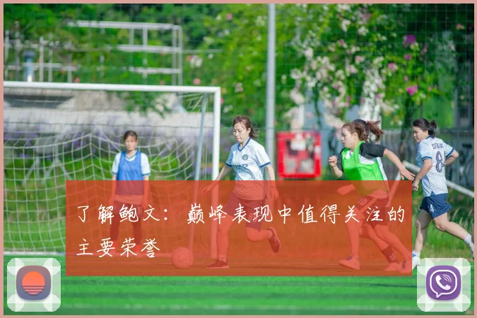 了解鲍文：巅峰表现中值得关注的主要荣誉