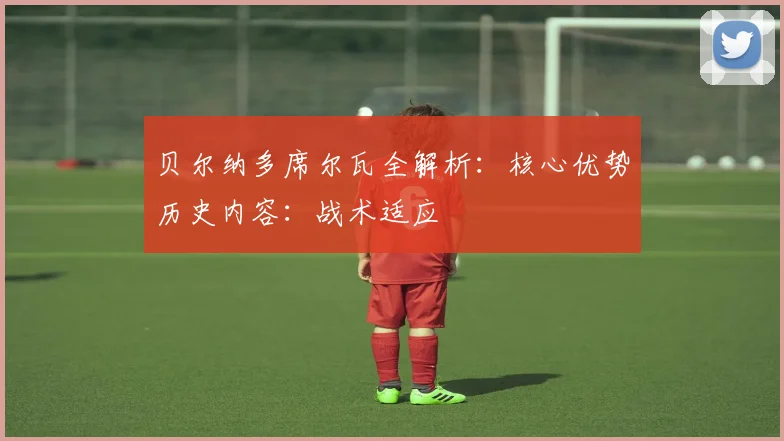 贝尔纳多席尔瓦全解析:核心优势历史内容:战术适应